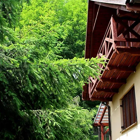 シャレー Gorskie D4 *