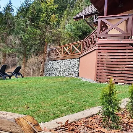 シャレー Gorskie D4