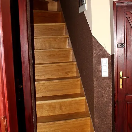 シャレー Gorskie D4