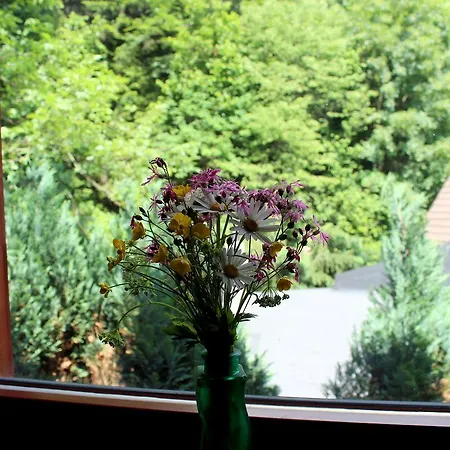 Gorskie D4 シャレー